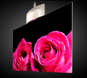 Dual-view flat OLED Signage display on rotating ceiling mount